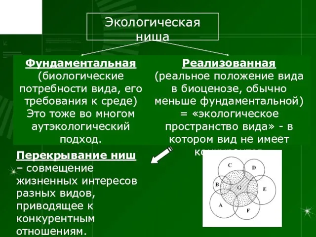 Фундаментальная (биологические потребности вида, его требования к среде) Это тоже во многом