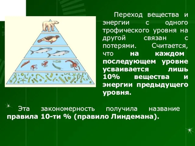 Переход вещества и энергии с одного трофического уровня на другой связан с