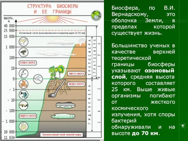 Биосфера, по В.И. Вернадскому, это оболочка Земли, в пределах которой существует жизнь.