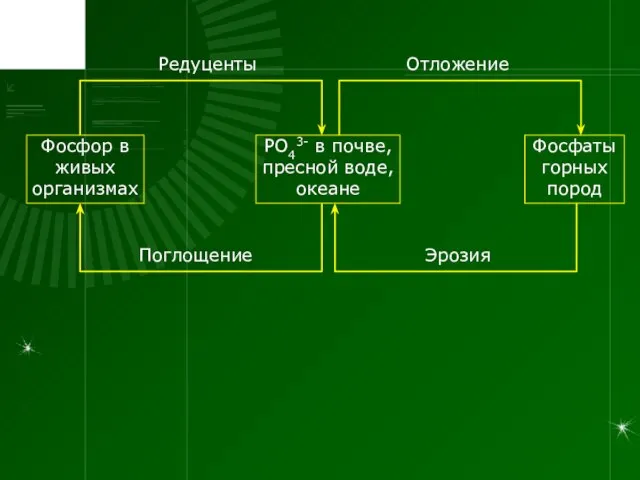 РО43- в почве, пресной воде, океане Фосфаты горных пород Фосфор в живых