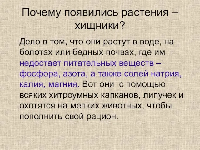 Почему появились растения – хищники? Дело в том, что они растут в