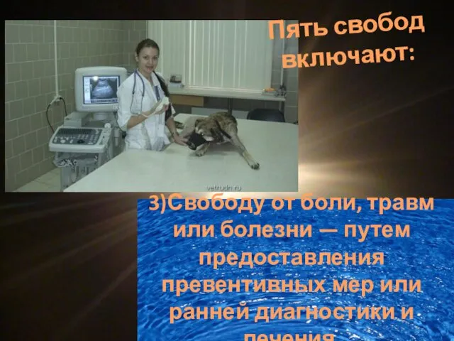 3)Свободу от боли, травм или болезни — путем предоставления превентивных мер или