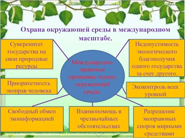 Охрана окружающей среды в международном масштабе. Международно- правовые принципы охраны окружающей среды.