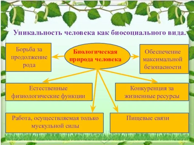 Уникальность человека как биосоциального вида. Биологическая природа человека Естественные физиологические функции Работа,