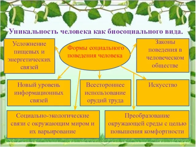 Уникальность человека как биосоциального вида. Формы социального поведения человека Преобразование окружающей среды