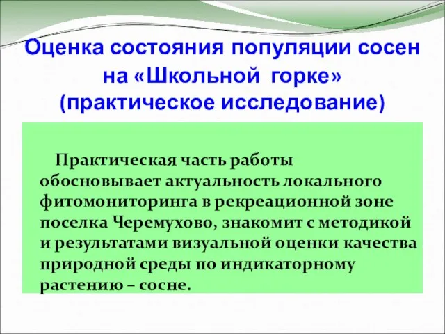 Оценка состояния популяции сосен на «Школьной горке» (практическое исследование) Практическая часть работы