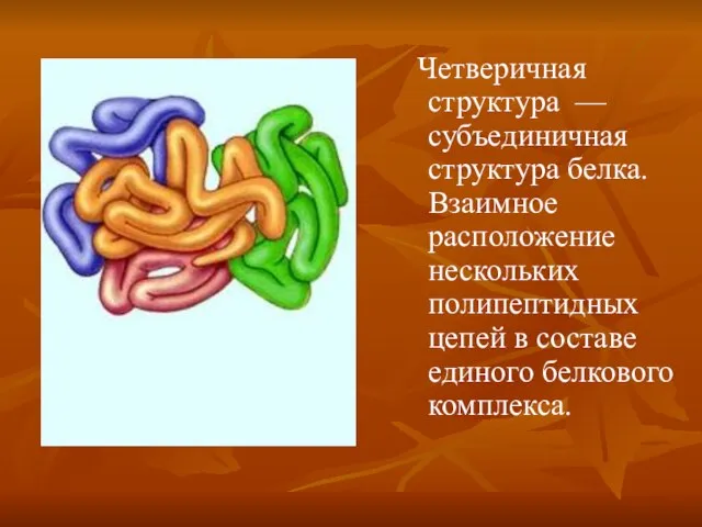 Четверичная структура — субъединичная структура белка. Взаимное расположение нескольких полипептидных цепей в составе единого белкового комплекса.