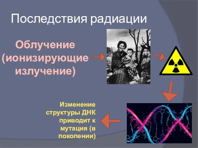 Последствия радиации Изменение структуры ДНК приводит к мутация (в поколении) Облучение (ионизирующие излучение)