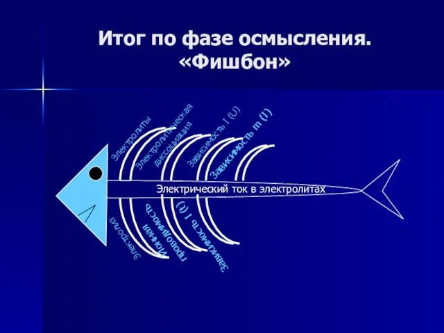 Итог по фазе осмысления. «Фишбон»