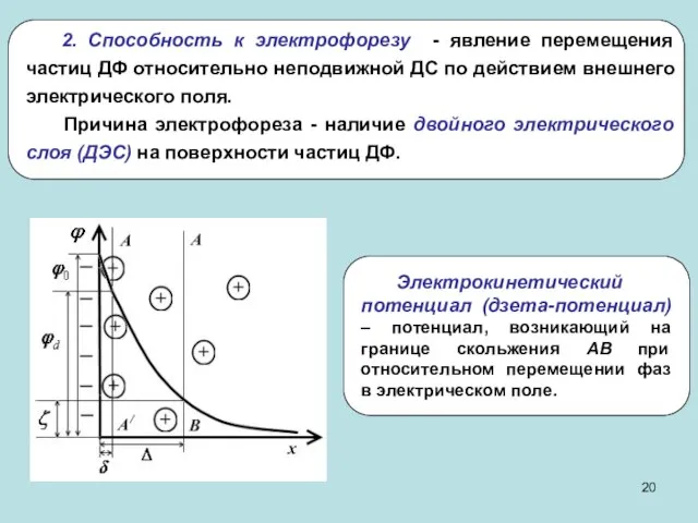 2. Способность к электрофорезу - явление перемещения частиц ДФ относительно неподвижной ДС