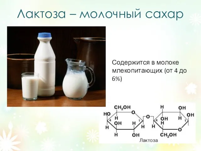 Лактоза – молочный сахар Содержится в молоке млекопитающих (от 4 до 6%)