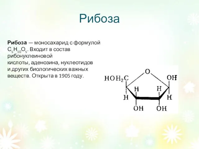 Рибоза Рибоза — моносахарид с формулой С5Н10О5. Входит в состав рибонуклеиновой кислоты,