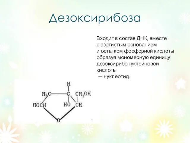 Дезоксирибоза Входит в состав ДНК, вместе с азотистым основанием и остатком фосфорной