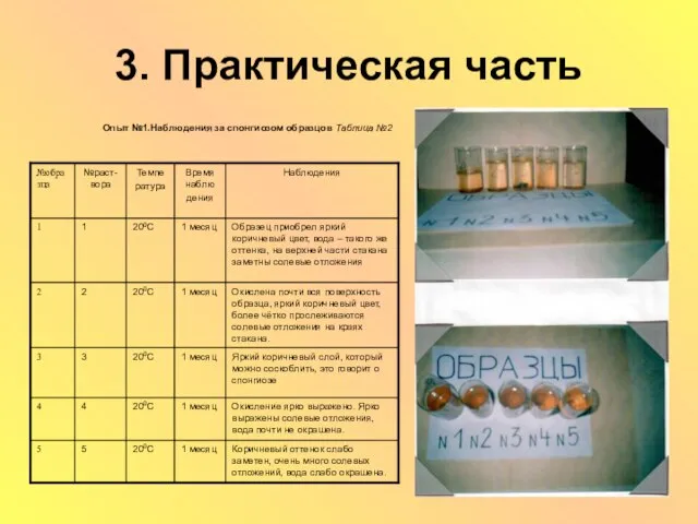 3. Практическая часть Опыт №1.Наблюдения за спонгиозом образцов Таблица №2