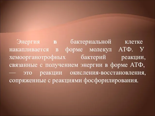 Энергия в бактериальной клетке накапливается в форме молекул АТФ. У хемоорганотрофных бактерий