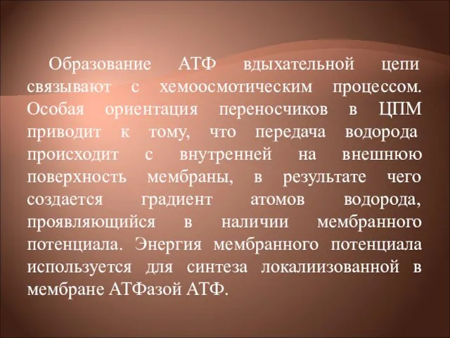 Образование АТФ вдыхательной цепи связывают с хемоосмотическим процессом. Особая ориентация переносчиков в