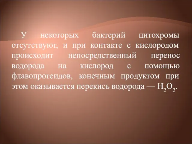 У некоторых бактерий цитохромы отсутствуют, и при контакте с кислородом происходит непосредственный