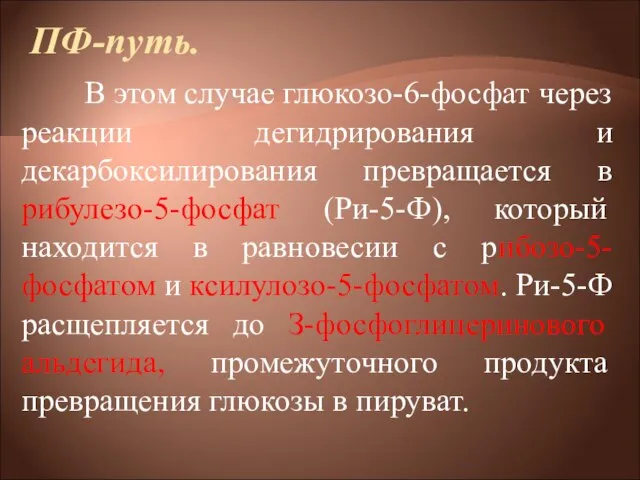 ПФ-путь. В этом случае глюкозо-6-фосфат через реакции дегидрирования и декарбоксилирования превращается в