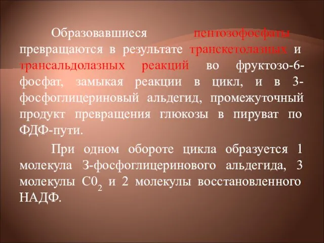 Образовавшиеся пентозофосфаты превращаются в результате транскетолазных и трансальдолазных реакций во фруктозо-6-фосфат, замыкая