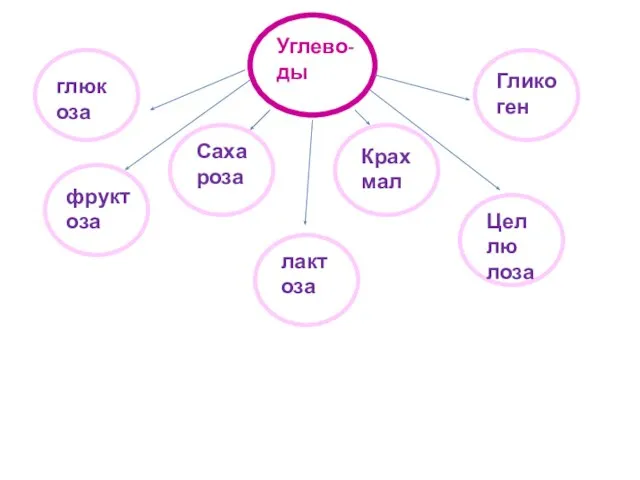 Углево-ды глюкоза фруктоза Саха роза лактоза Крах мал Глико ген Цел лю лоза