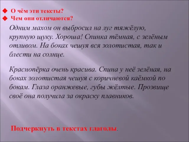 Одним махом он выбросил на луг тяжёлую, крупную щуку. Хороша! Спинка тёмная,