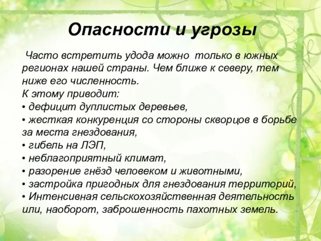 Часто встретить удода можно только в южных регионах нашей страны. Чем ближе