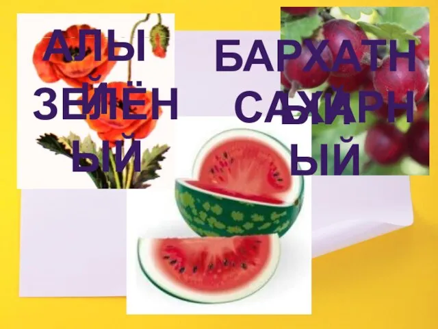 АЛЫЙ САХАРНЫЙ ЗЕЛЁНЫЙ БАРХАТНЫЙ