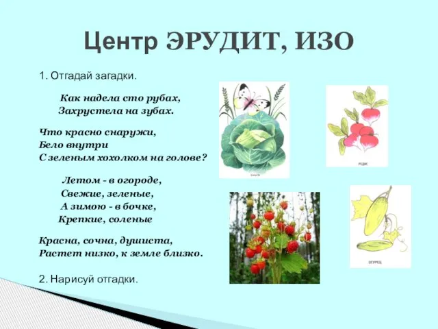 1. Отгадай загадки. Как надела сто рубах, Захрустела на зубах. Что красно