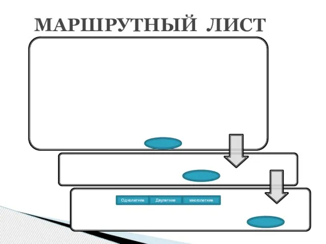 МАРШРУТНЫЙ ЛИСТ Однолетние Двулетние многолетние