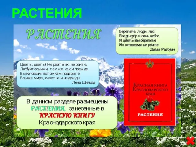 РАСТЕНИЯ