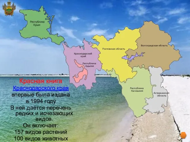 Красная книга Краснодарского края впервые была издана в 1994 году В ней