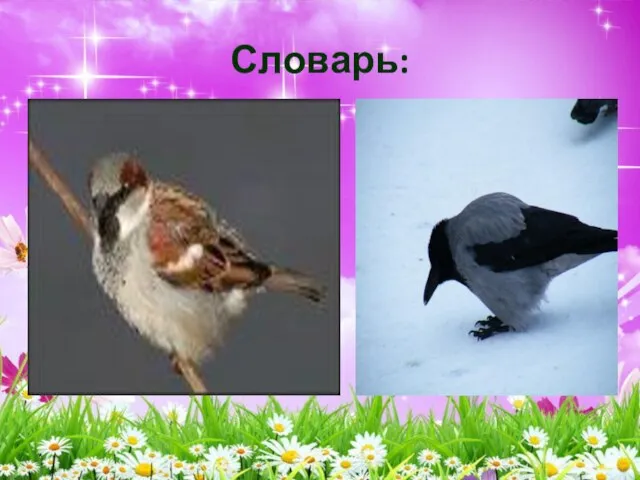 * Словарь: ВОРОБЕЙ ВОРОНА