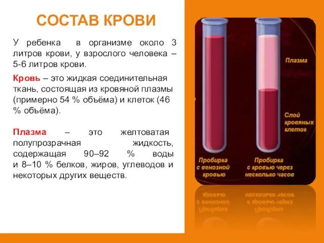 Состав крови У ребенка в организме около 3 литров крови, у взрослого