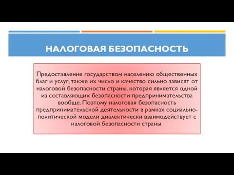 Налоговая безопасность