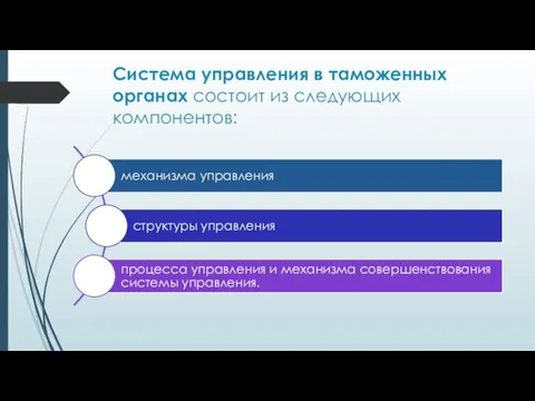 Система управления в таможенных органах состоит из следующих компонентов: