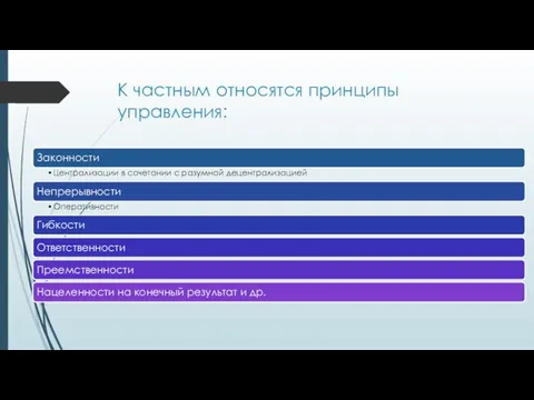 К частным относятся принципы управления: