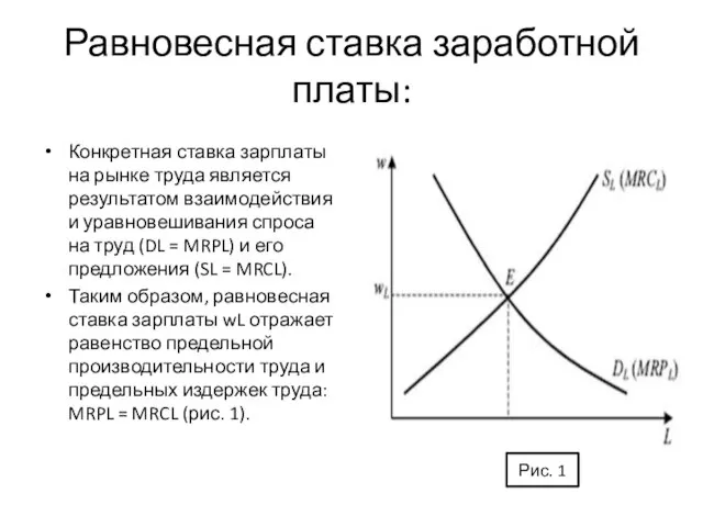 Равновесная ставка заработной платы: Конкретная ставка зарплаты на рынке труда является результатом