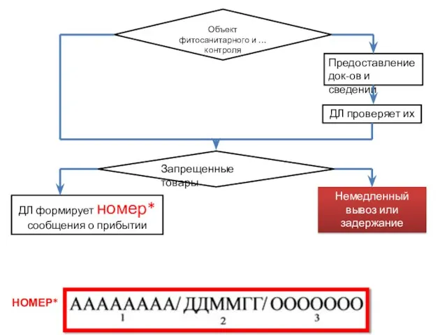 Объект фитосанитарного и … контроля Предоставление док-ов и сведений ДЛ проверяет их