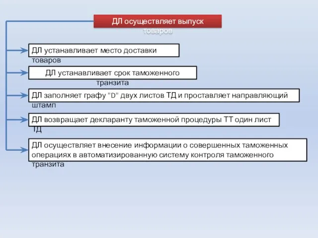 ДЛ осуществляет выпуск товаров ДЛ устанавливает место доставки товаров ДЛ устанавливает срок