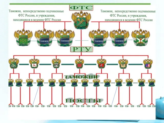 К звеньям управления в системе таможенных органов относятся: ФТС России, управления и