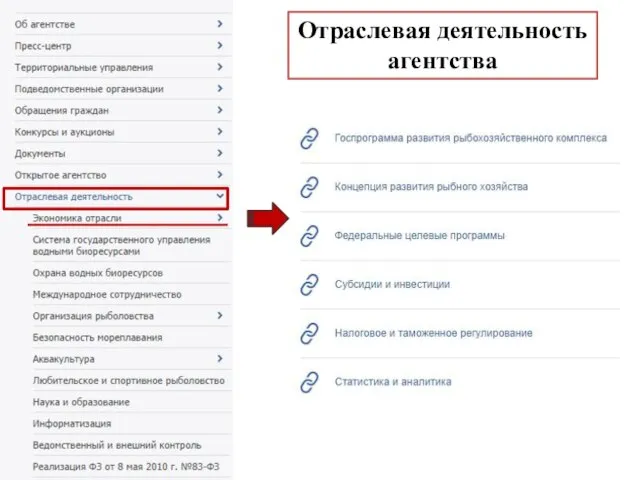 Отраслевая деятельность агентства