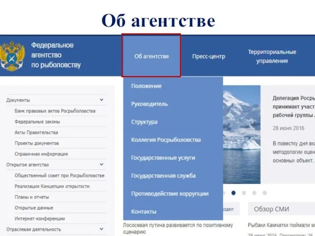 Об агентстве