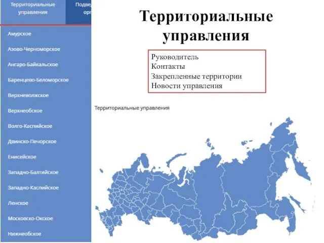 Территориальные управления Руководитель Контакты Закрепленные территории Новости управления