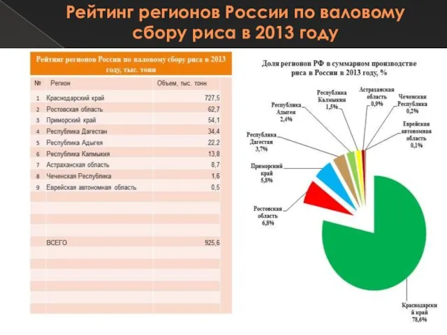 Рейтинг регионов России по валовому сбору риса в 2013 году