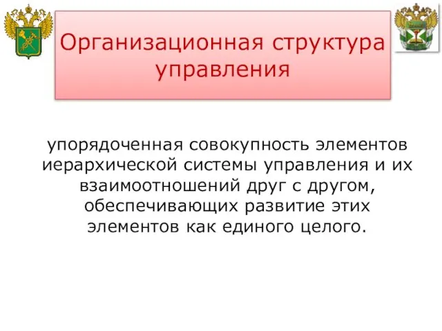 упорядоченная совокупность элементов иерархической системы управления и их взаимоотношений друг с другом,