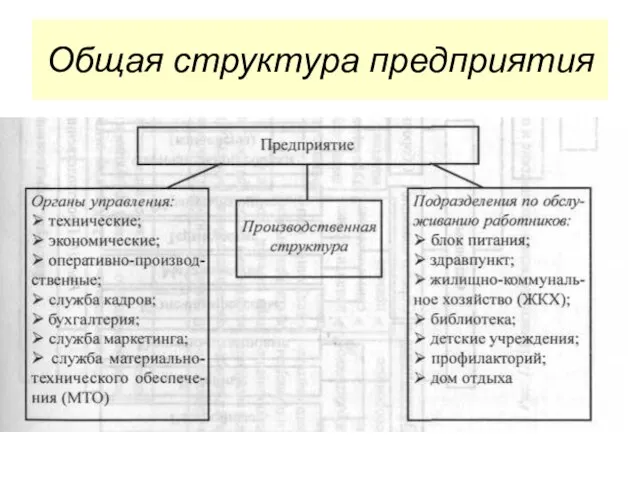 Общая структура предприятия