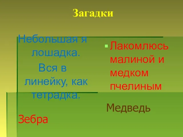 Загадки Небольшая я лошадка. Вся в линейку, как тетрадка. Лакомлюсь малиной и медком пчелиным Зебра Медведь