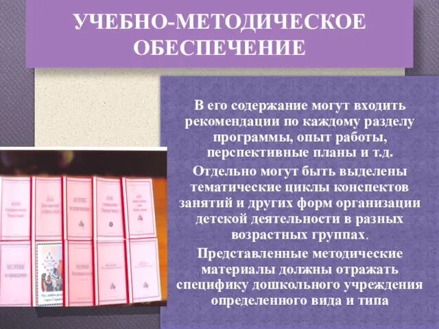 УЧЕБНО-МЕТОДИЧЕСКОЕ ОБЕСПЕЧЕНИЕ В его содержание могут входить рекомендации по каждому разделу программы,