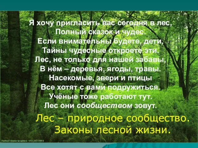 Я хочу пригласить вас сегодня в лес, Полный сказок и чудес. Если