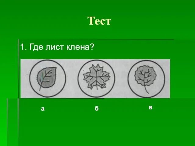 Тест 1. Где лист клена? а б в